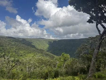 Black River Gorges